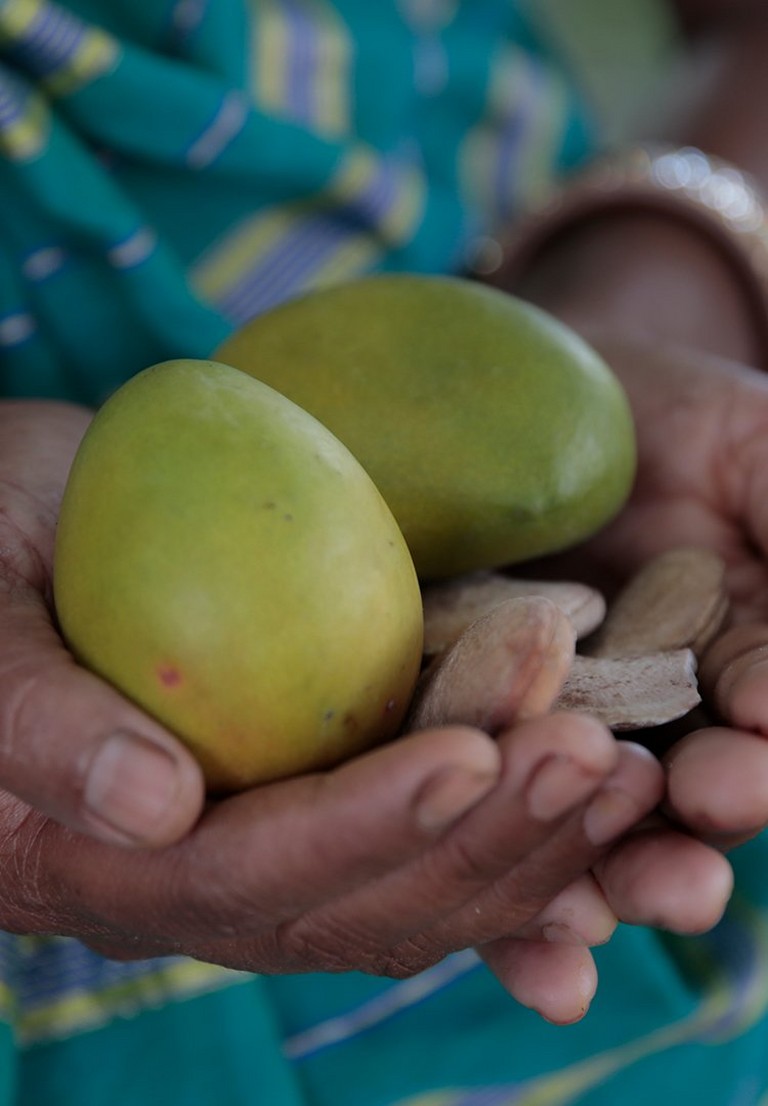 hands holding fruit