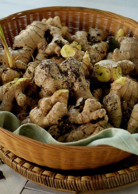 Basket of Ginger