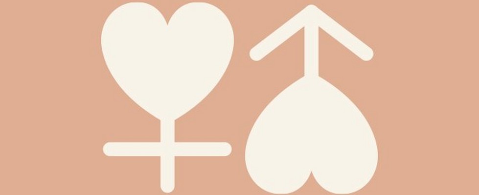 Heart illustration Heart illustration