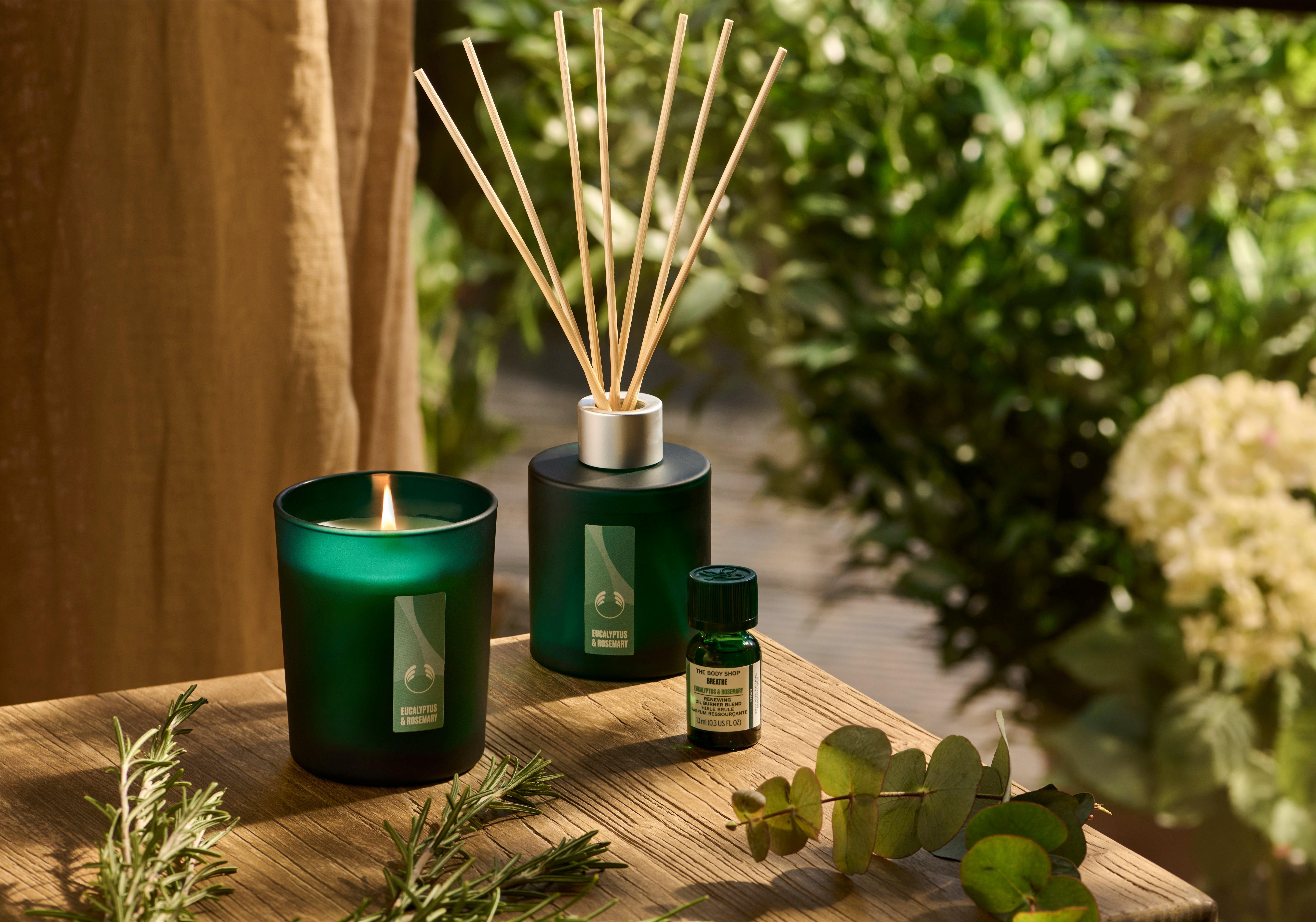 Body shop oil shop burner scents