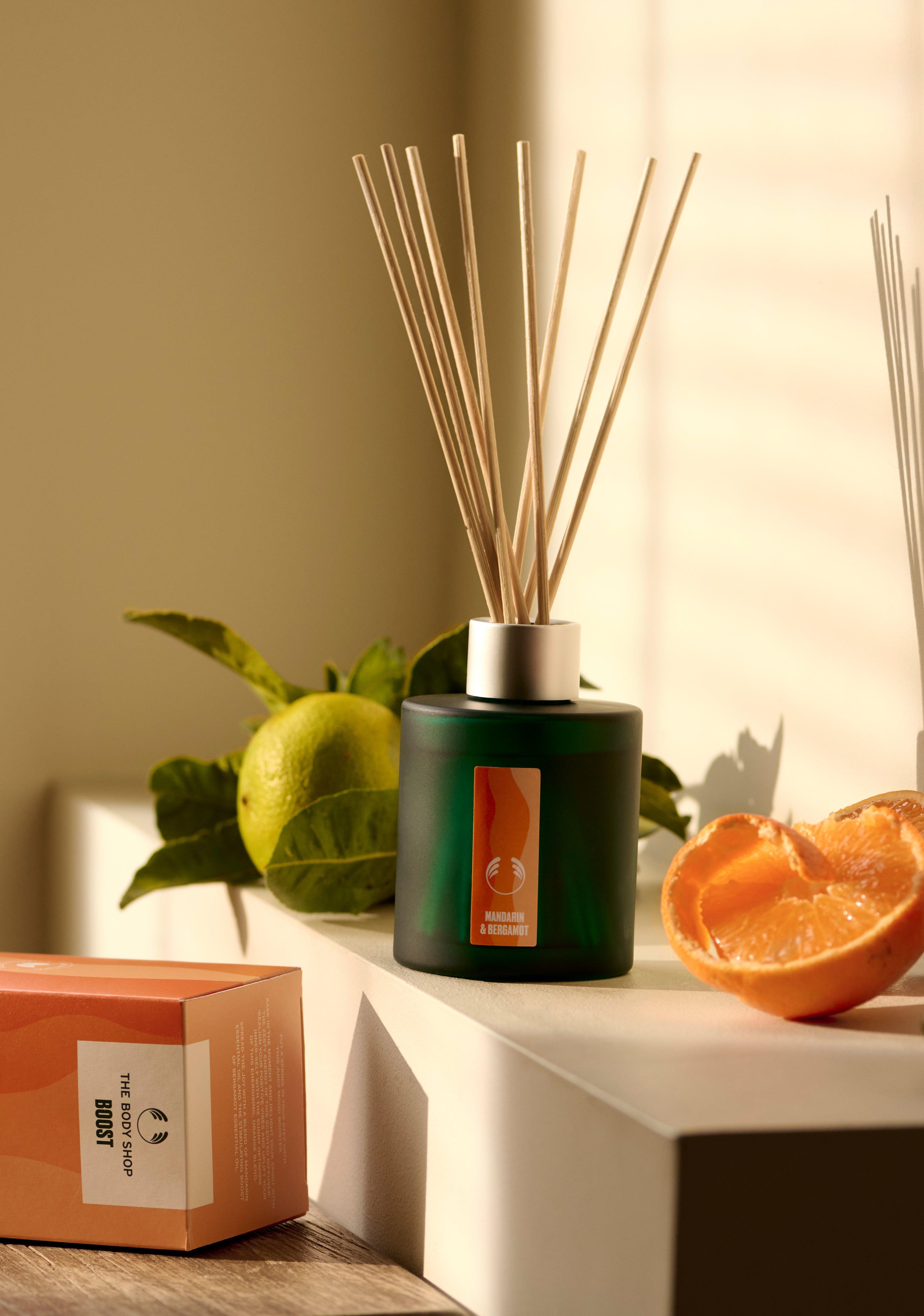Body shop diffuser reed shop