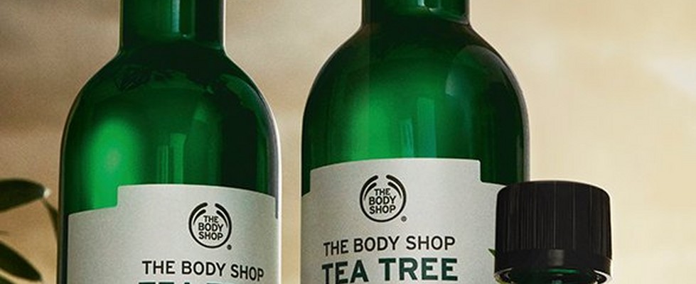 Tea Tree Range Tea Tree Range