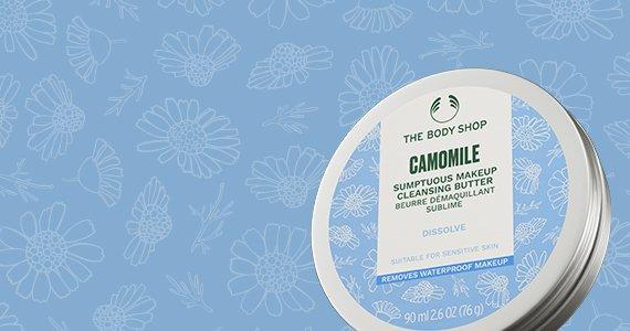 camomile