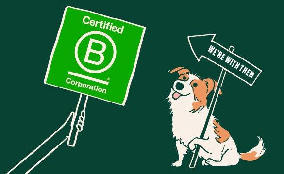 Graphique Certification B&nbsp;Corp