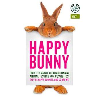 2013 Bannière Happy Bunny