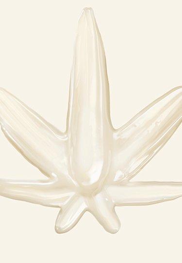 Beauty Skincare Bath Body Products The Body Shop