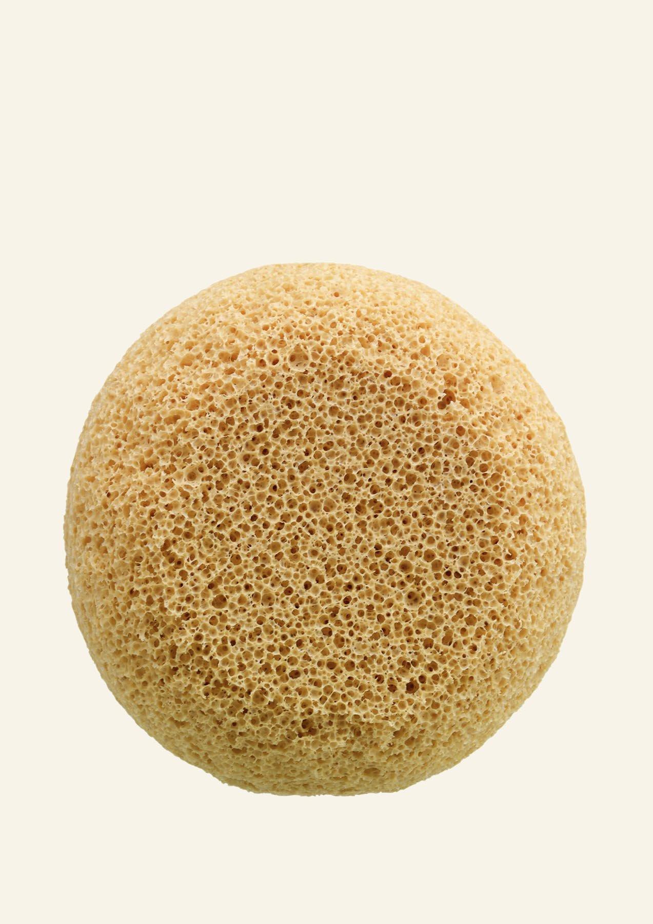 Body sponge on sale