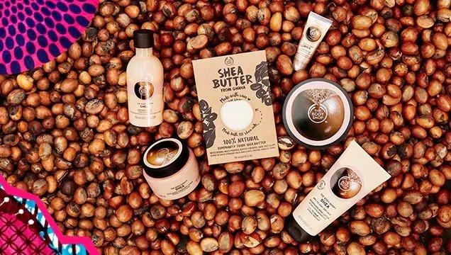 shea butter range