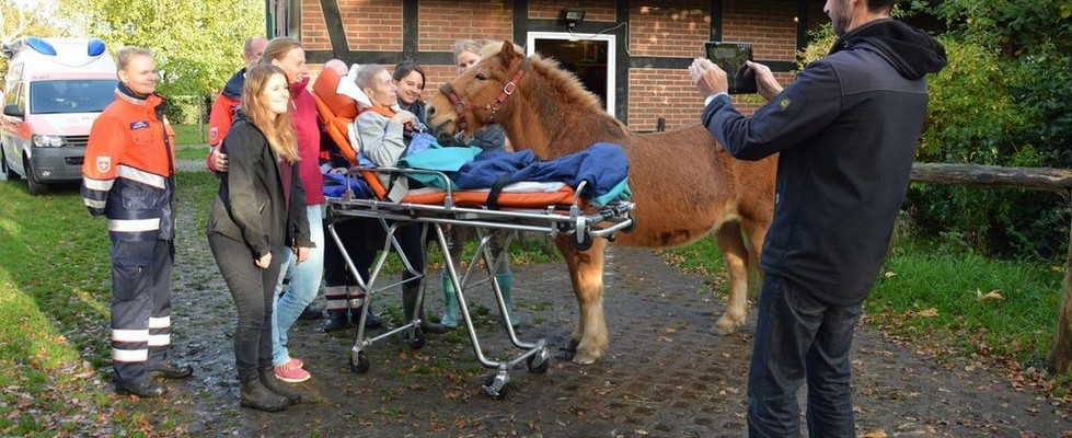 Familie mit Pferd Familie mit Pferd
