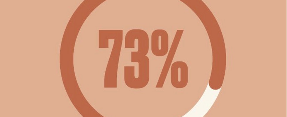 73% 73%