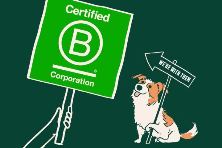 B CORP სერტიფიცირებული კომპანია