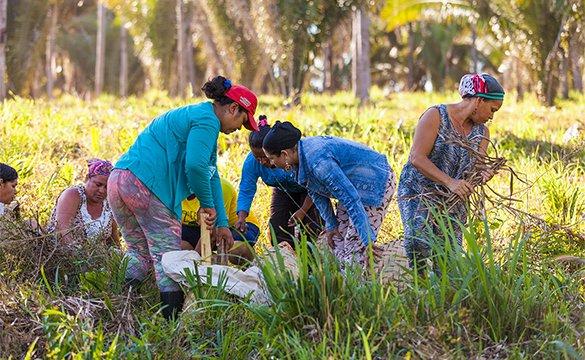 Des femmes dans un champ