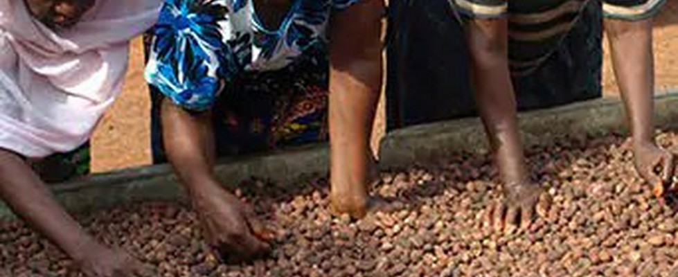 Three women working with shea nuts Three women working with shea nuts