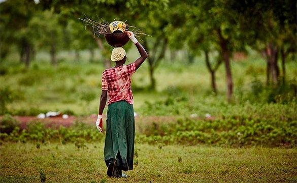 Une femme dans un champ