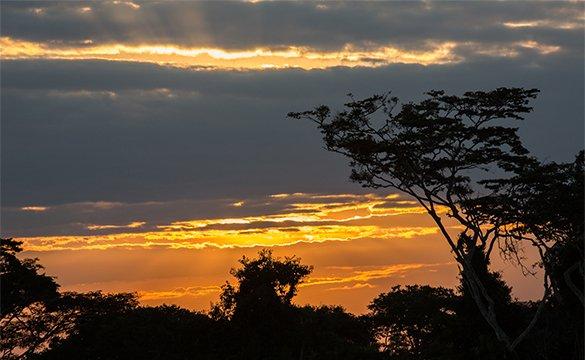 Un coucher de soleil