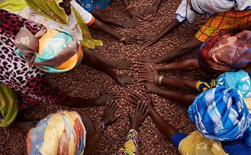 Women in circle with hands on the floor Women in circle with hands on the floor